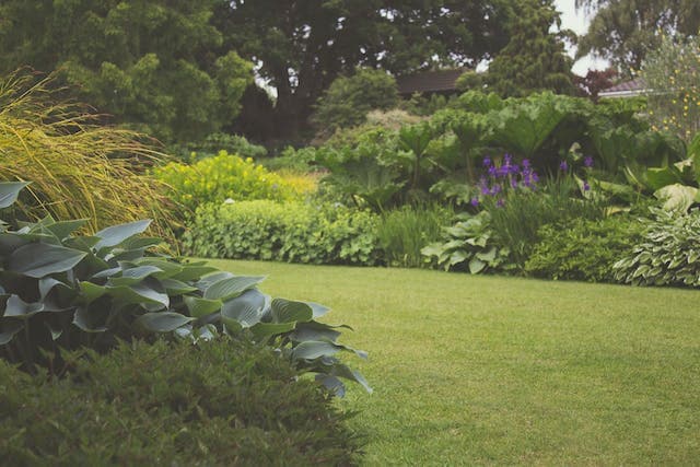 Desarrollo de Jardines y Techos Verdes para Viviendas Sostenibles