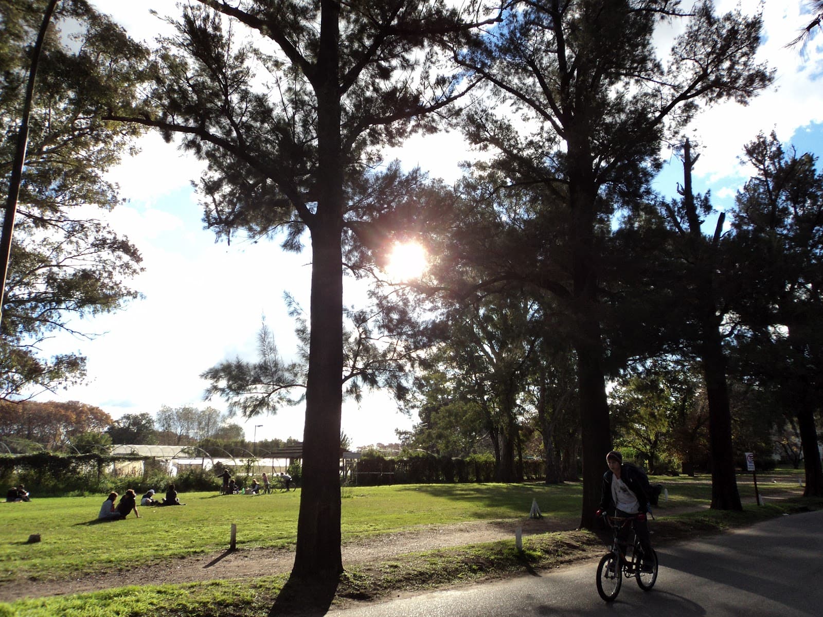 Barrios de la Ciudad: Villa del Parque