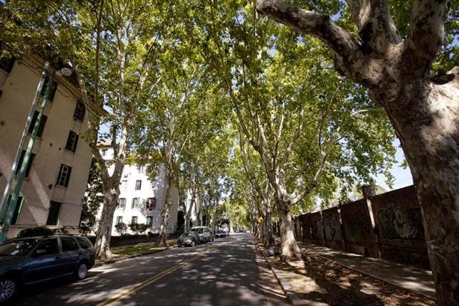 Barrios de la Ciudad: Agronomía