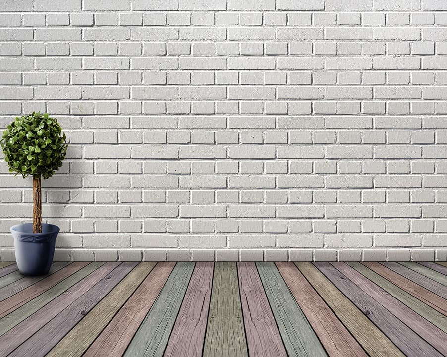 Buenas plantas para colocar en interiores