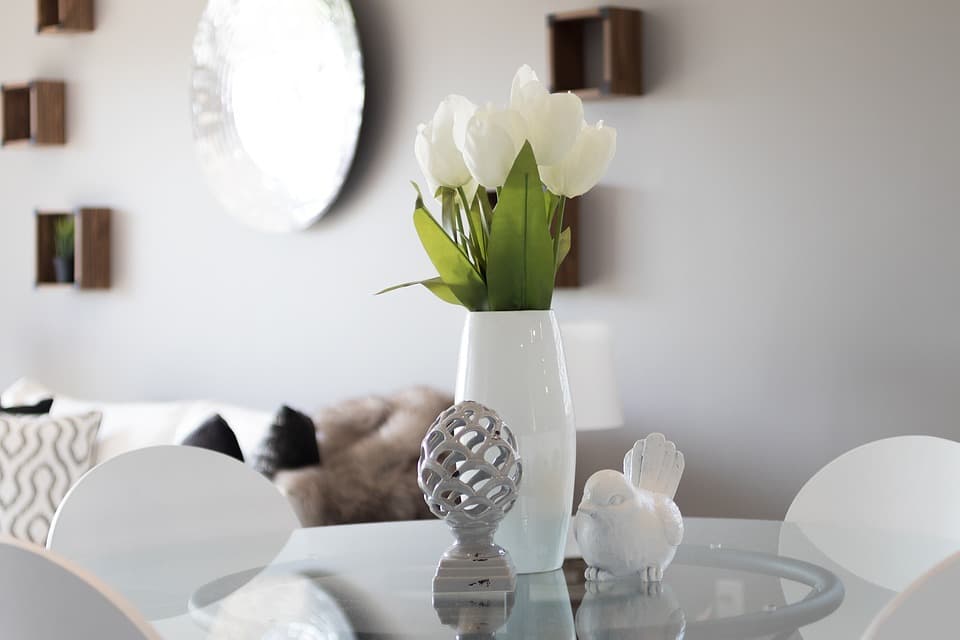 Plantas de Interior para Decorar